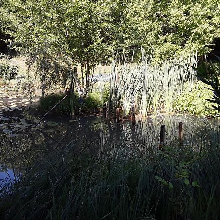 Le Chalet De La Grenouille Verte Tursac Eksteriør billede
