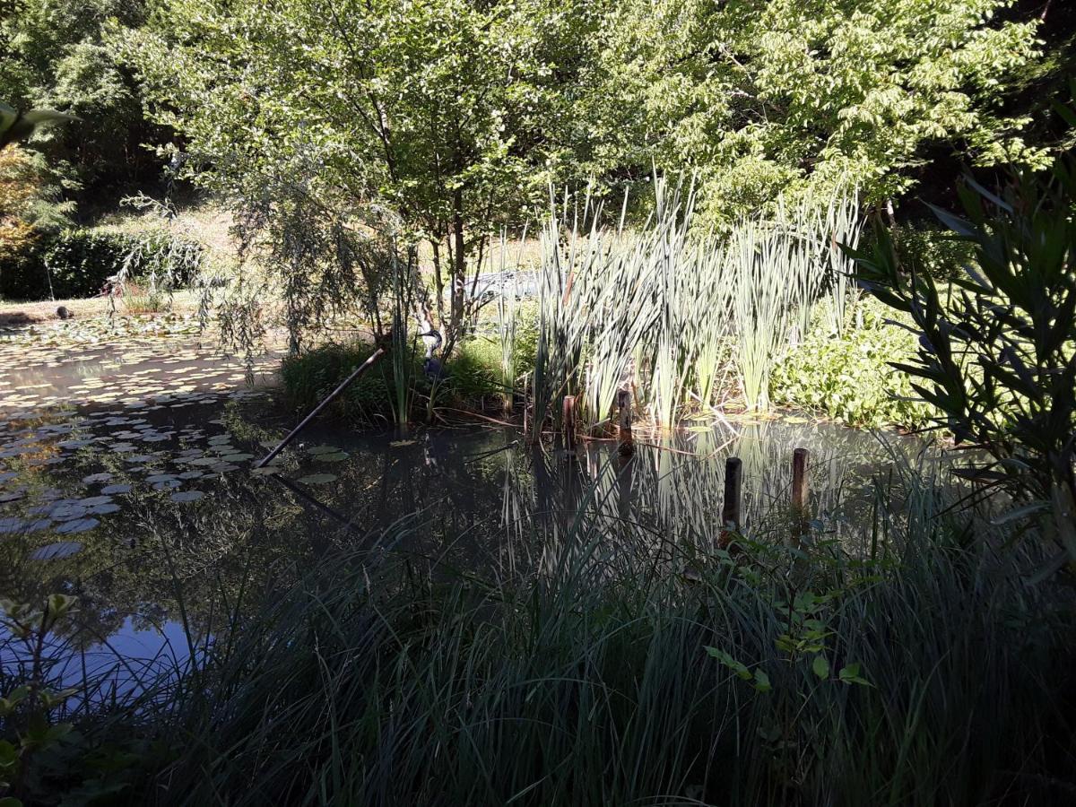 Le Chalet De La Grenouille Verte Tursac Eksteriør billede